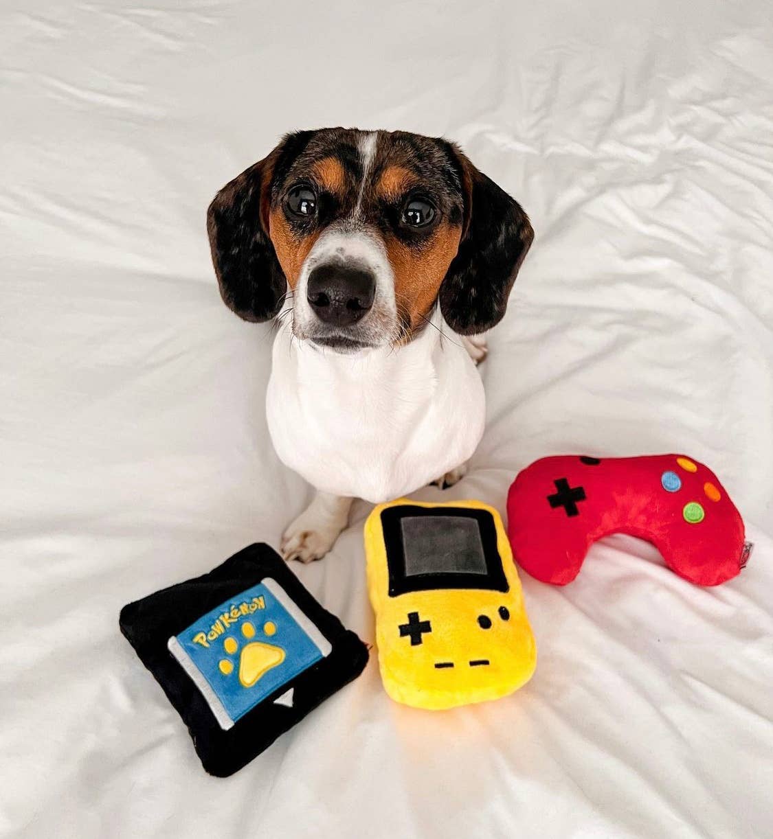 TONBO - Wholesale Pet Plush Toy - Dog - TONBO Gamer Combo - Dog Toys, Game Card, Controller, Console1