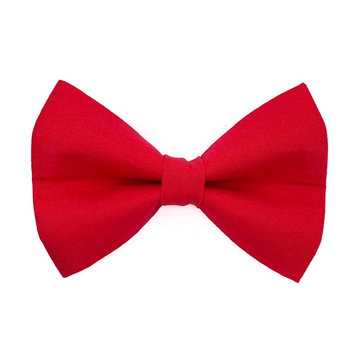 Nœud papillon rouge pour chien pour la vente par Winthrop Clothing Co.
