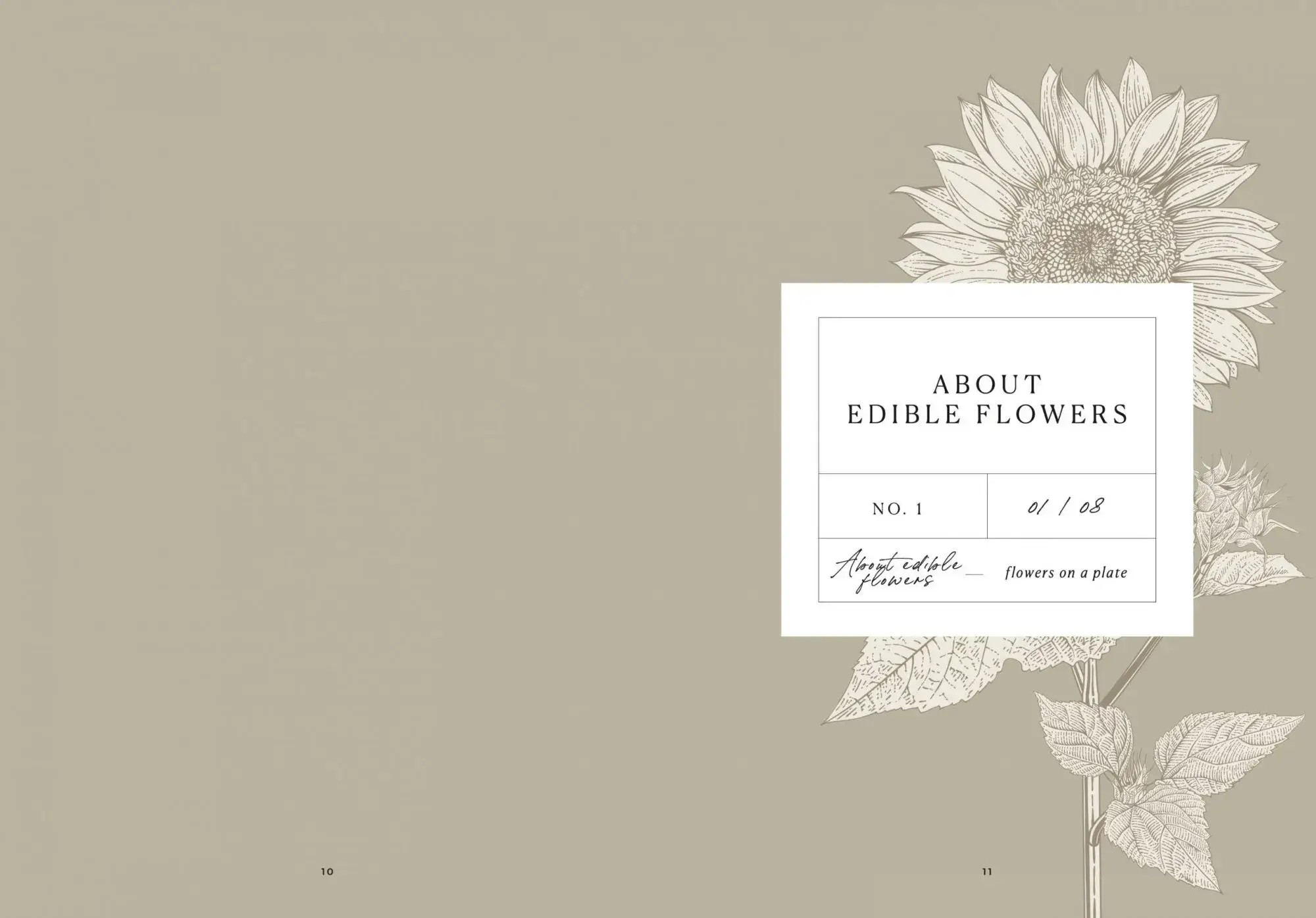 Cozy Publishing - Wholesale Cookbooks & Food - Flowers On A Plate10