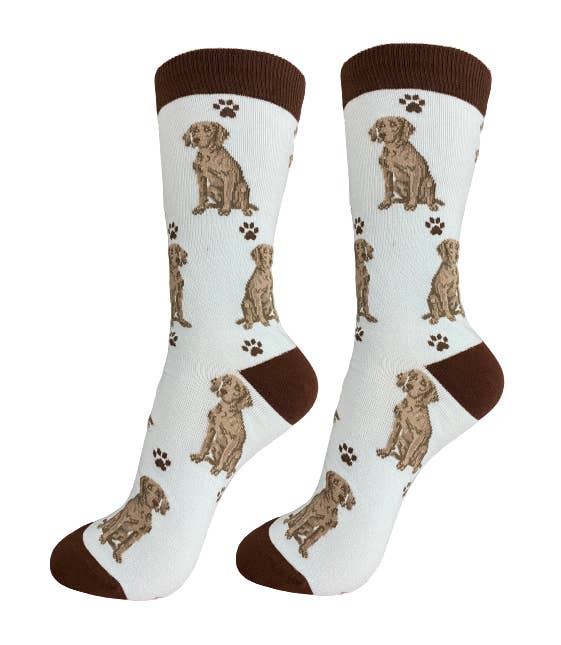E&S Pets - Wholesale Socks - Unisex - Weimaraner Socks - Fun Novelty Dog Socks - Unisex0