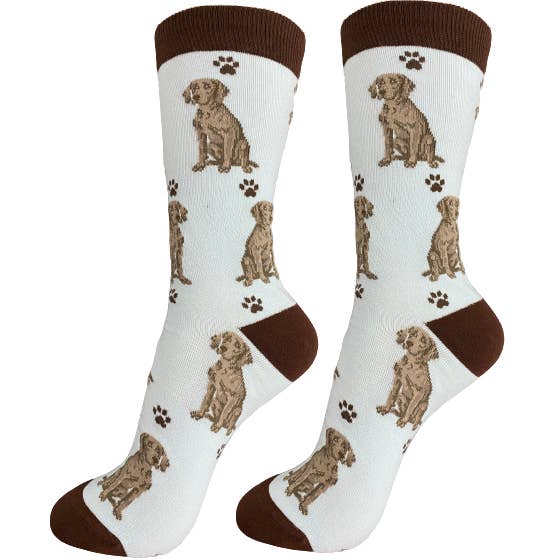 Weimaraner Socks - Leuke hondensokken van Novelty - Unisex voor wholesale door E&S Pets