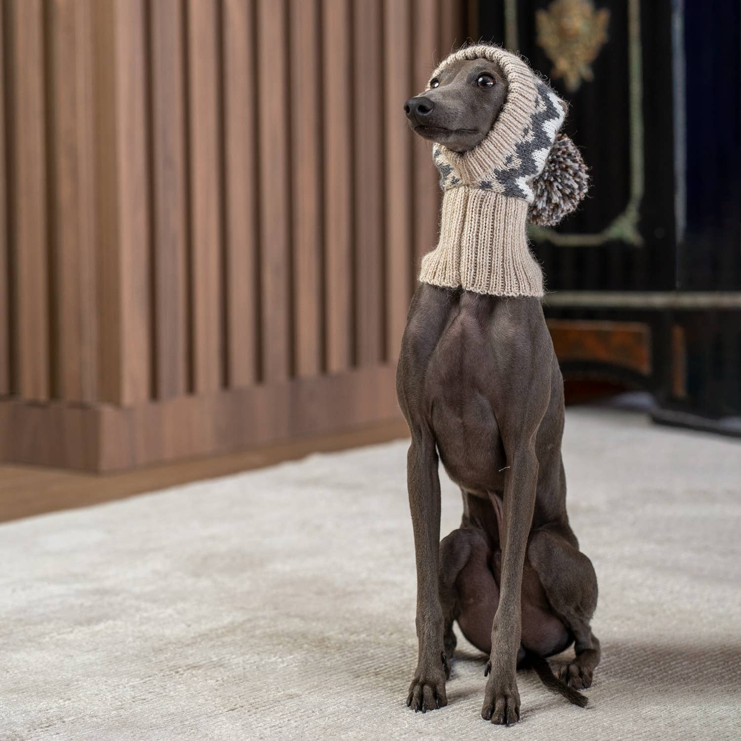 Alqo Wasi – chapéu - Cão por atacado – Gorro de inverno em lã de alpaca para cães2