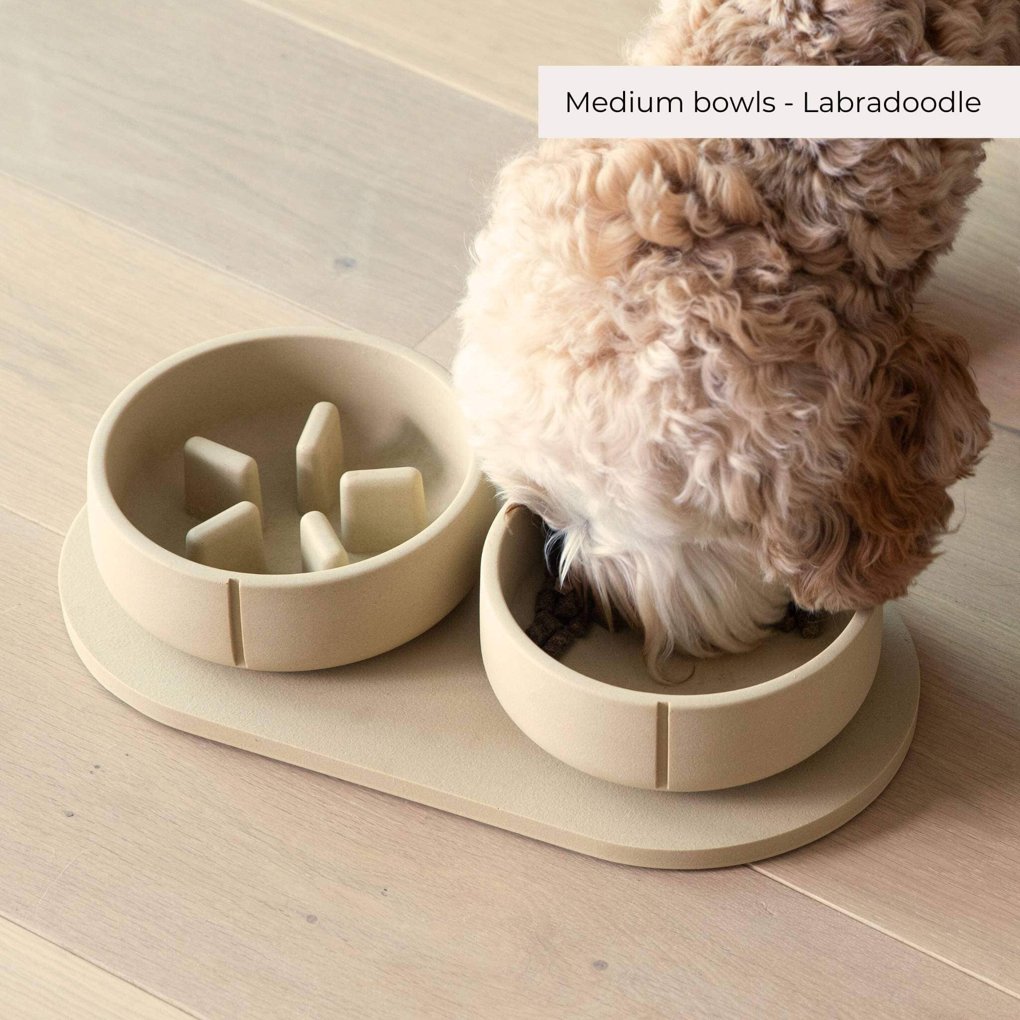 PINO - Wholesale Pet Bowl - Dog - Slow Feeder Bowls - 2024 Collection7