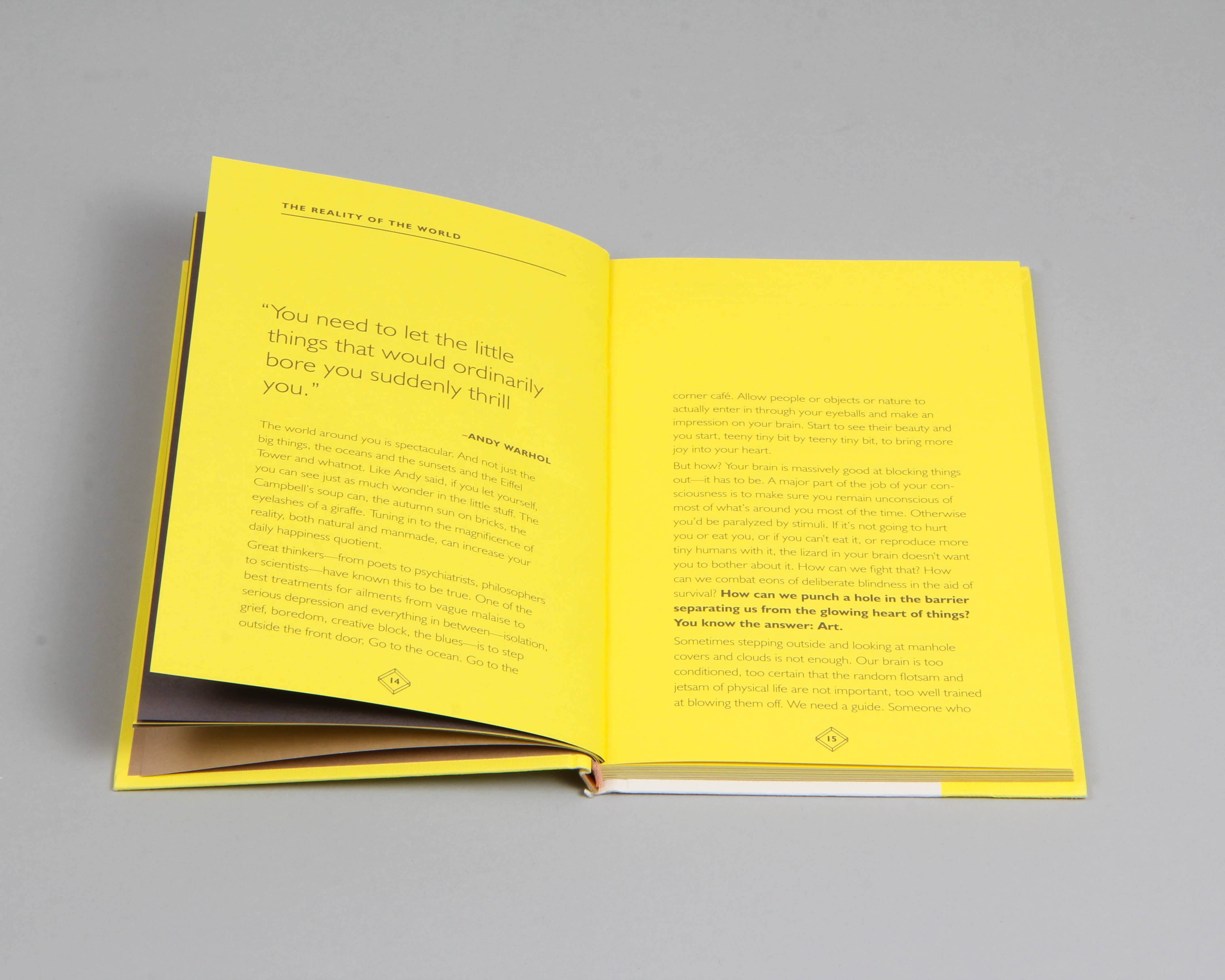 Chronicle Books - Wholesale Arts & Entertainment Book - How Art Can Make You Happy22