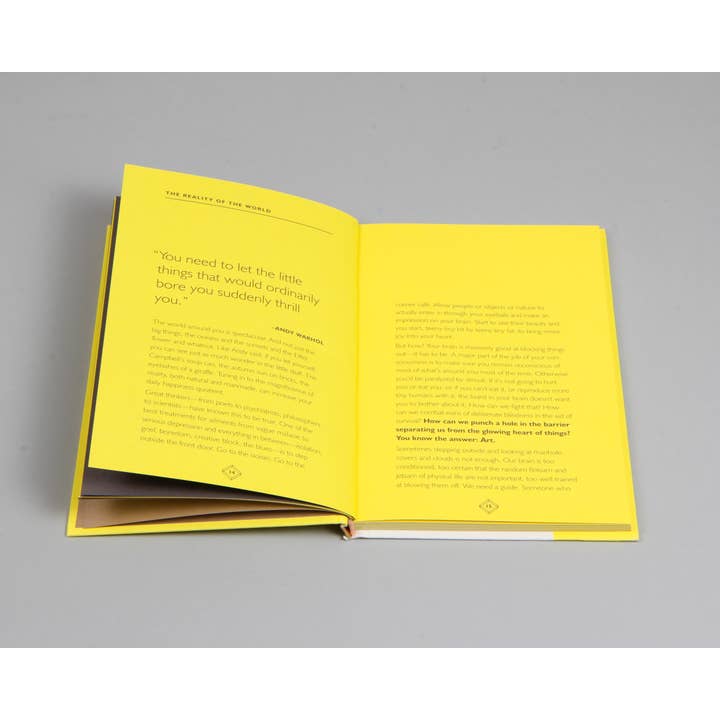 Chronicle Books - Wholesale Arts & Entertainment - How Art Can Make You Happy22