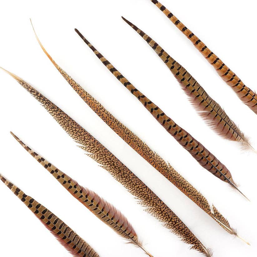 Zucker Feather Products - Wholesale Feathers - Pheasant Tails Assorted Natural -16-30"3