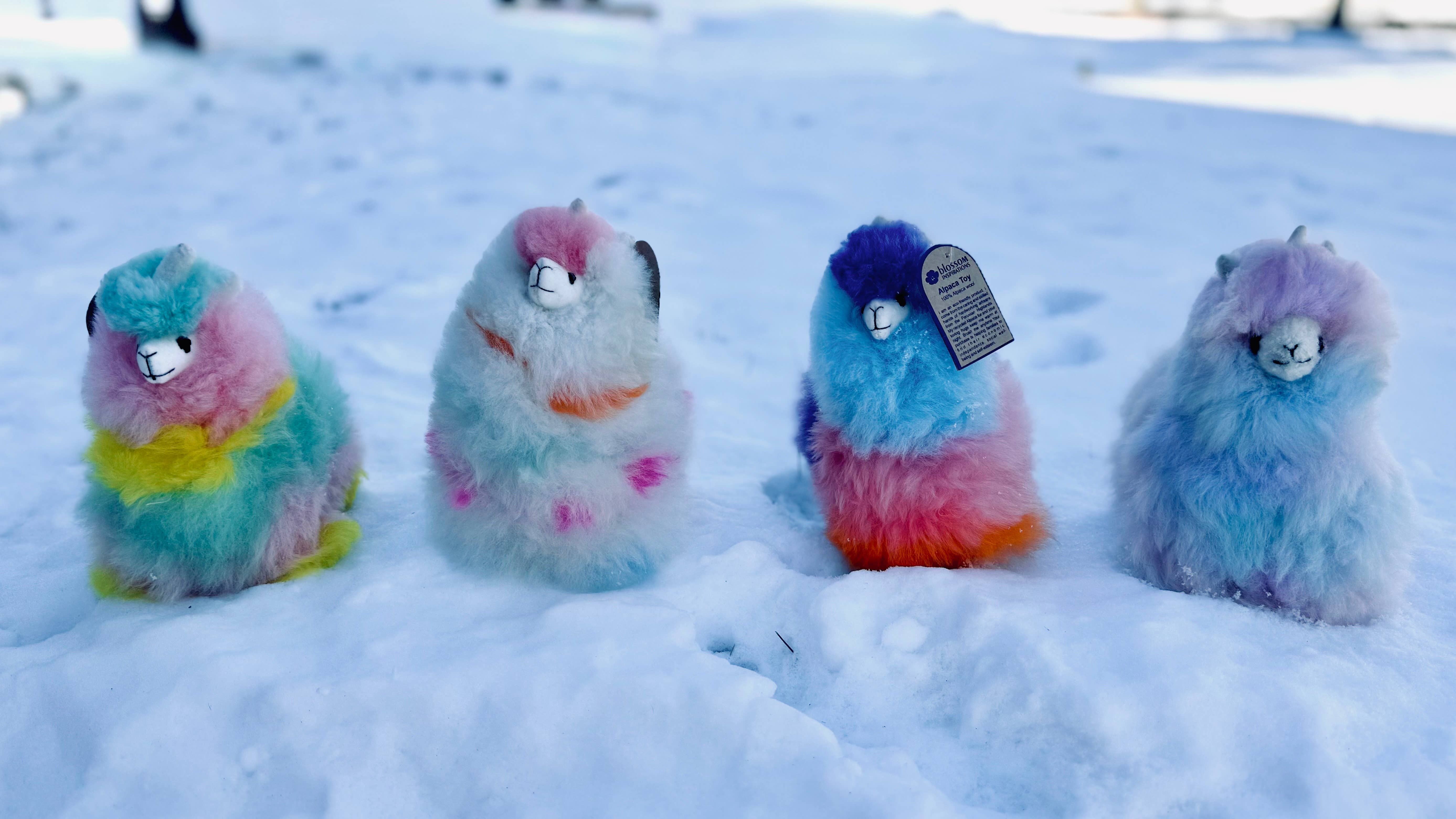 Blossom Inspirations - Wholesale Stuffed/Plush Toy - Kids & Baby - Colorinche Llamacorn26