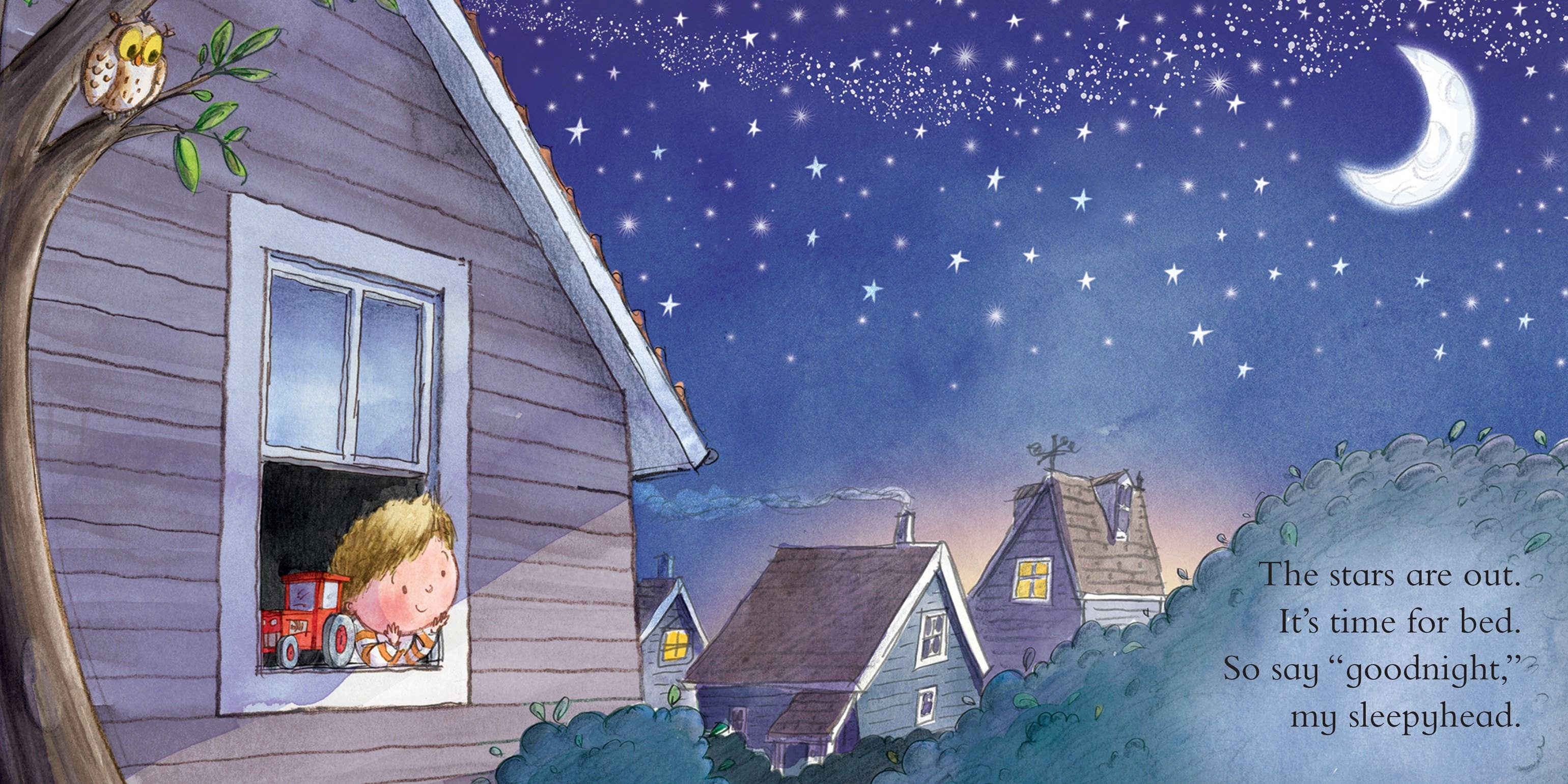 Sourcebooks - Wholesale Baby & Toddler Book (0-2) - Goodnight Tractor1