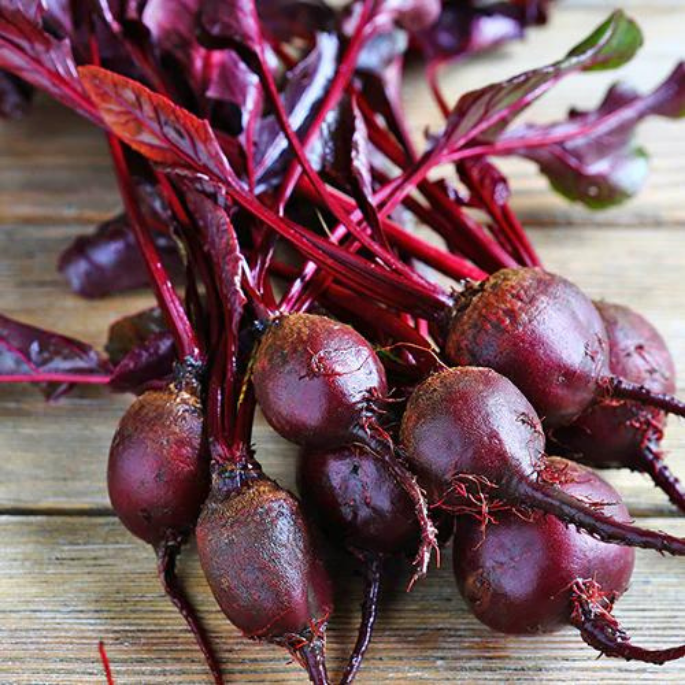Piccolo Seeds - Wholesale Plant Seeds - Beetroot Bull's Blood1