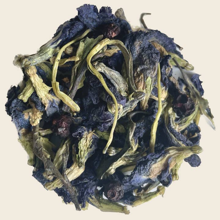 Gilded Coach Teas - Wholesale Loose Tea - Little Sea Princess4