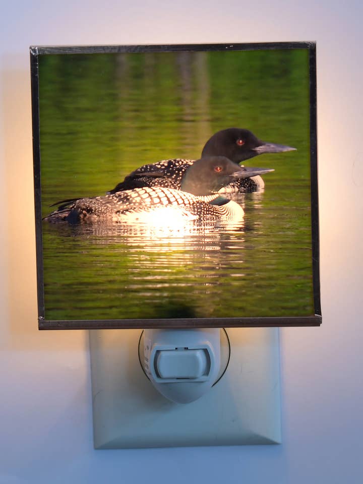 Loons on the Lake for wholesale by Solarography