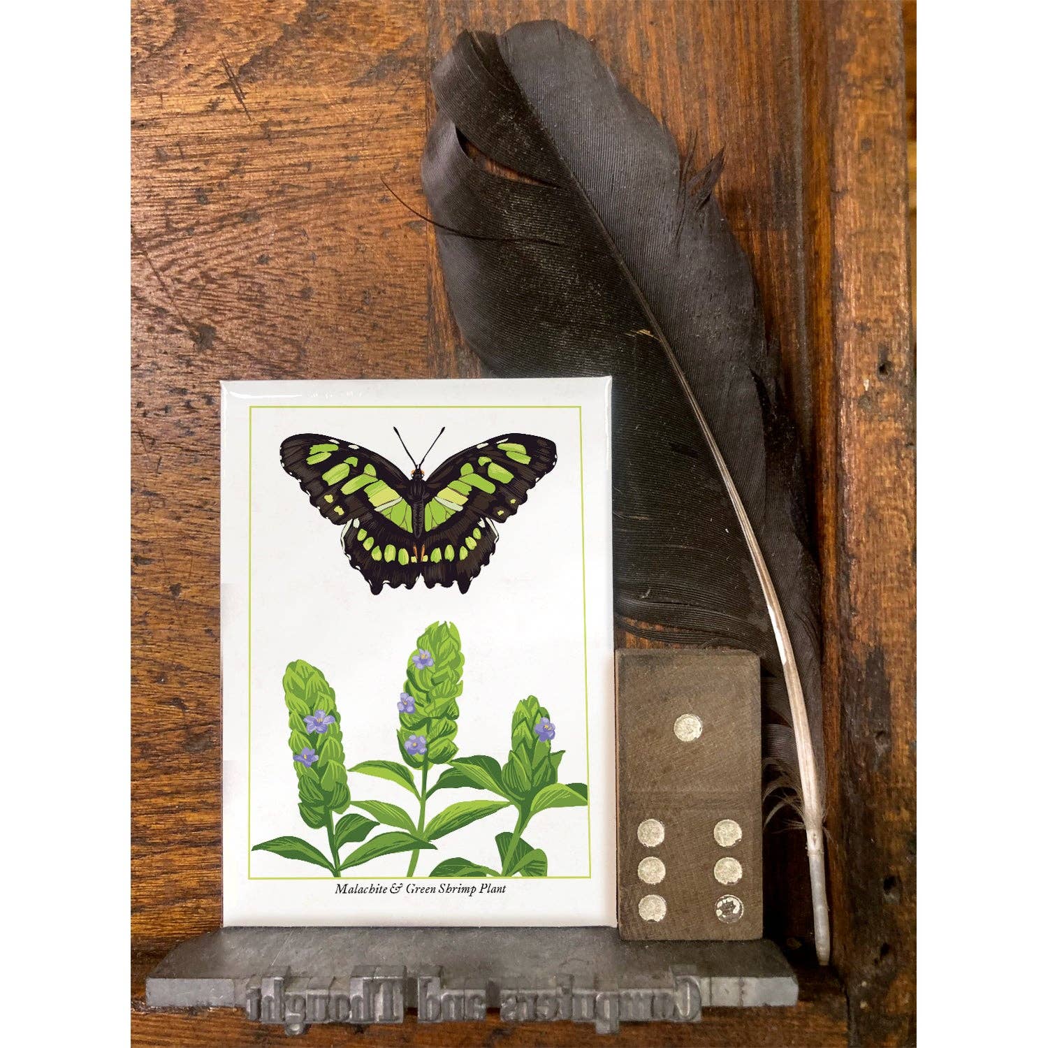 Rigel Paper – wholesale Magnet – RBU-730 Malachite Butterfly Magnet1