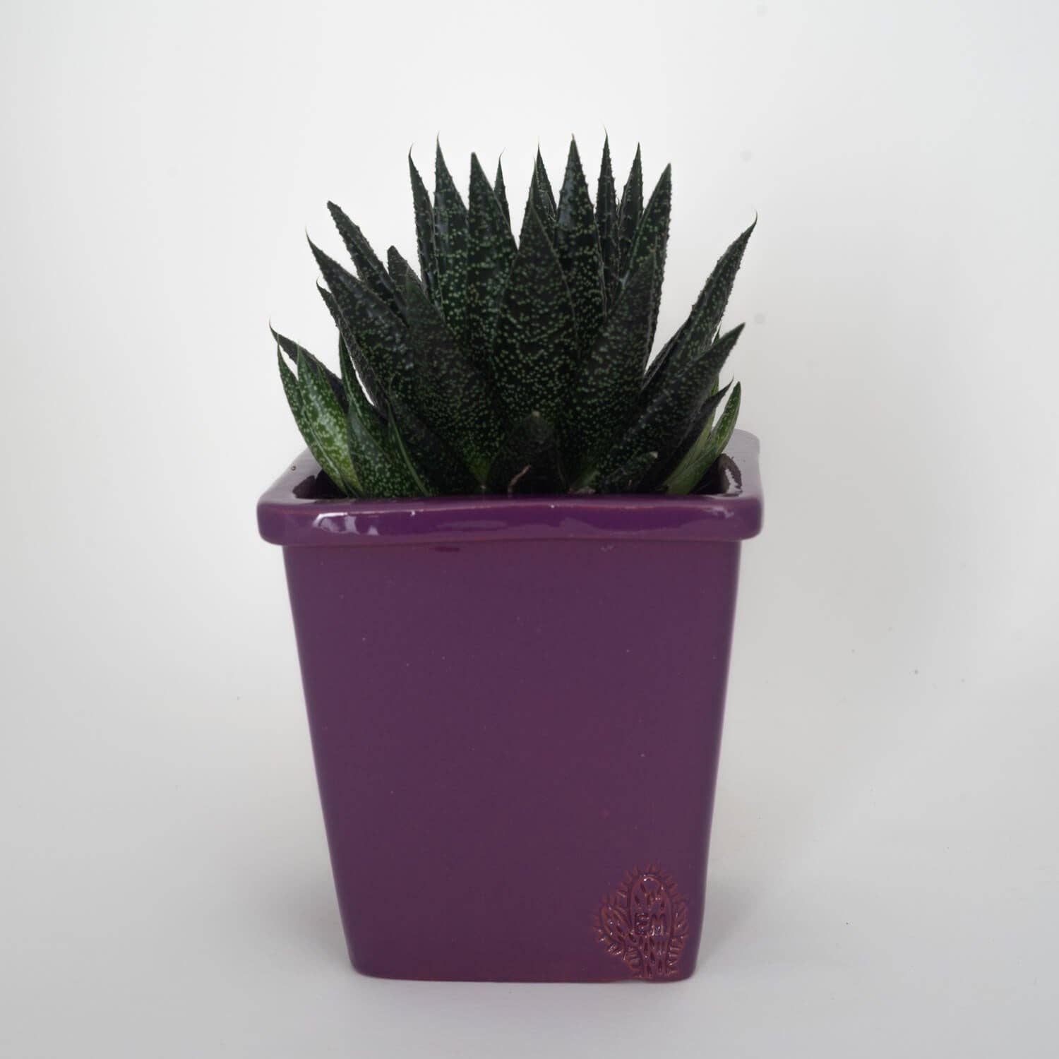 Vasos Quadrados by EM – Engroshandel Plantekrukke – Medium firkantet vase 14x14 cm - blank33