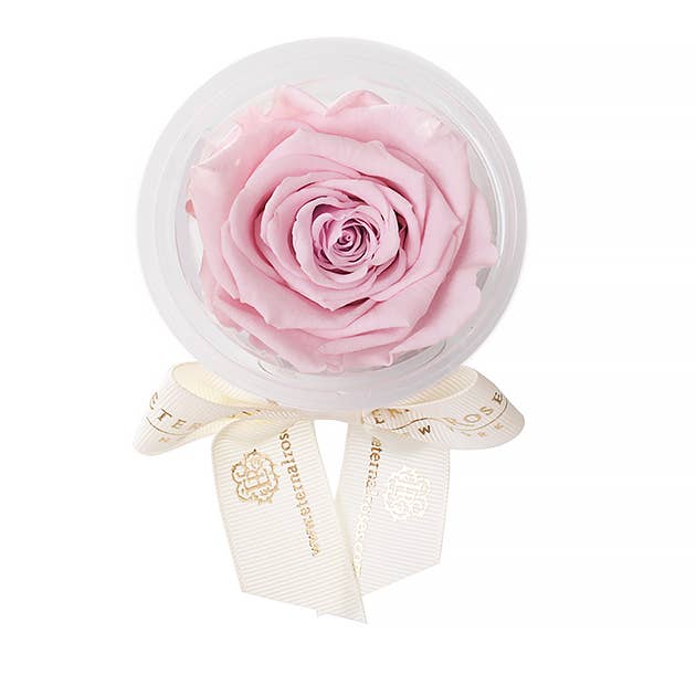 Eternal Roses® - Wholesale Party Favor - Eternal Rose Party Favors10