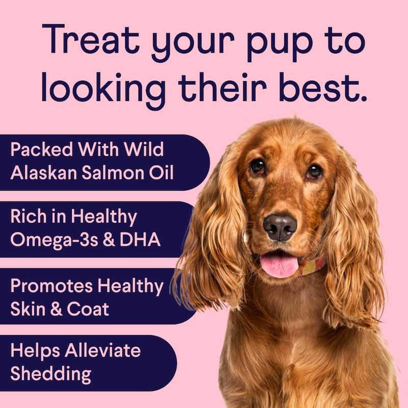 Finn - Wholesale Pet Supplement - Dog - Pretty Pup Bundle1