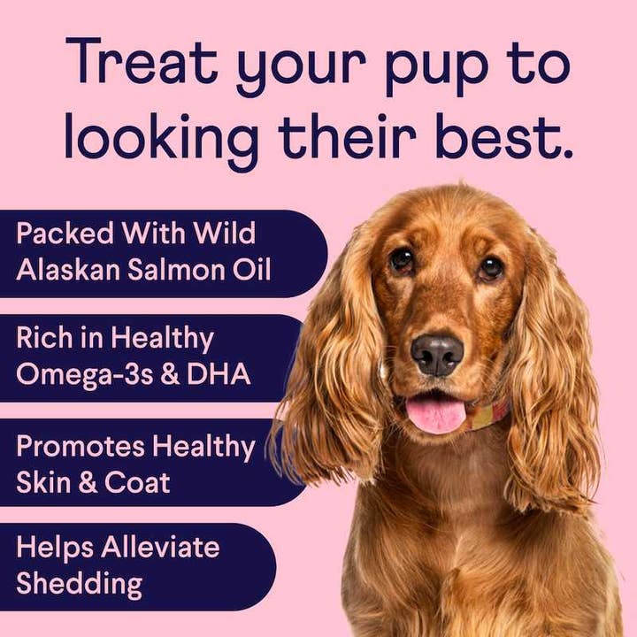 Finn - Wholesale Pet Supplement - Dog - Pretty Pup Bundle1