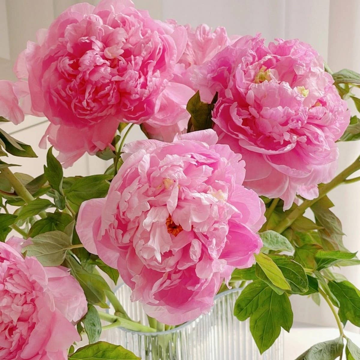 ACCITY - Wholesale Artificial Flowers - Artificial Peony Bouquet 62CM Silk Wedding Decor_CWMM646011