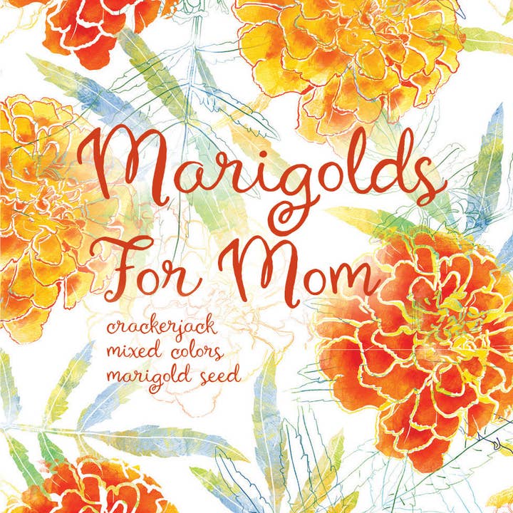 Marigolds for Mom Mother's Day - Marigold Seed Packets and other Purchase Wholesale marigold. Free Returns & Net 60 Terms on Faire trending on Faire.