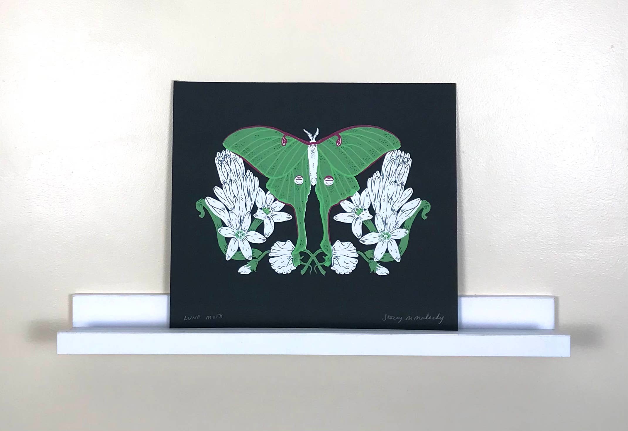 Stacey Malasky - Wholesale Art Print - Luna Moth Print