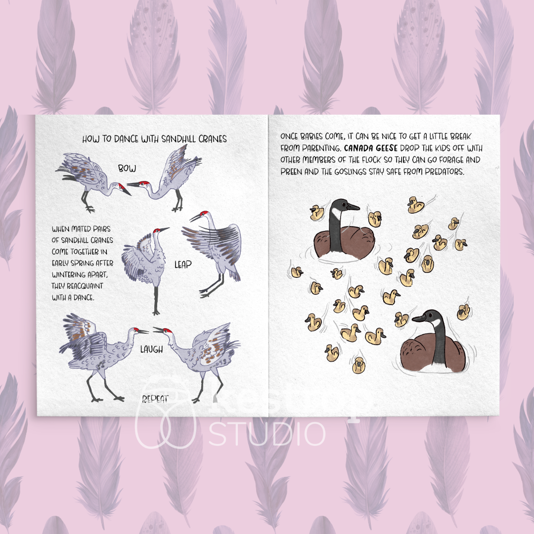 Kestrop Studio - Wholesale Nature & Outdoors - Love Birbs Zine1