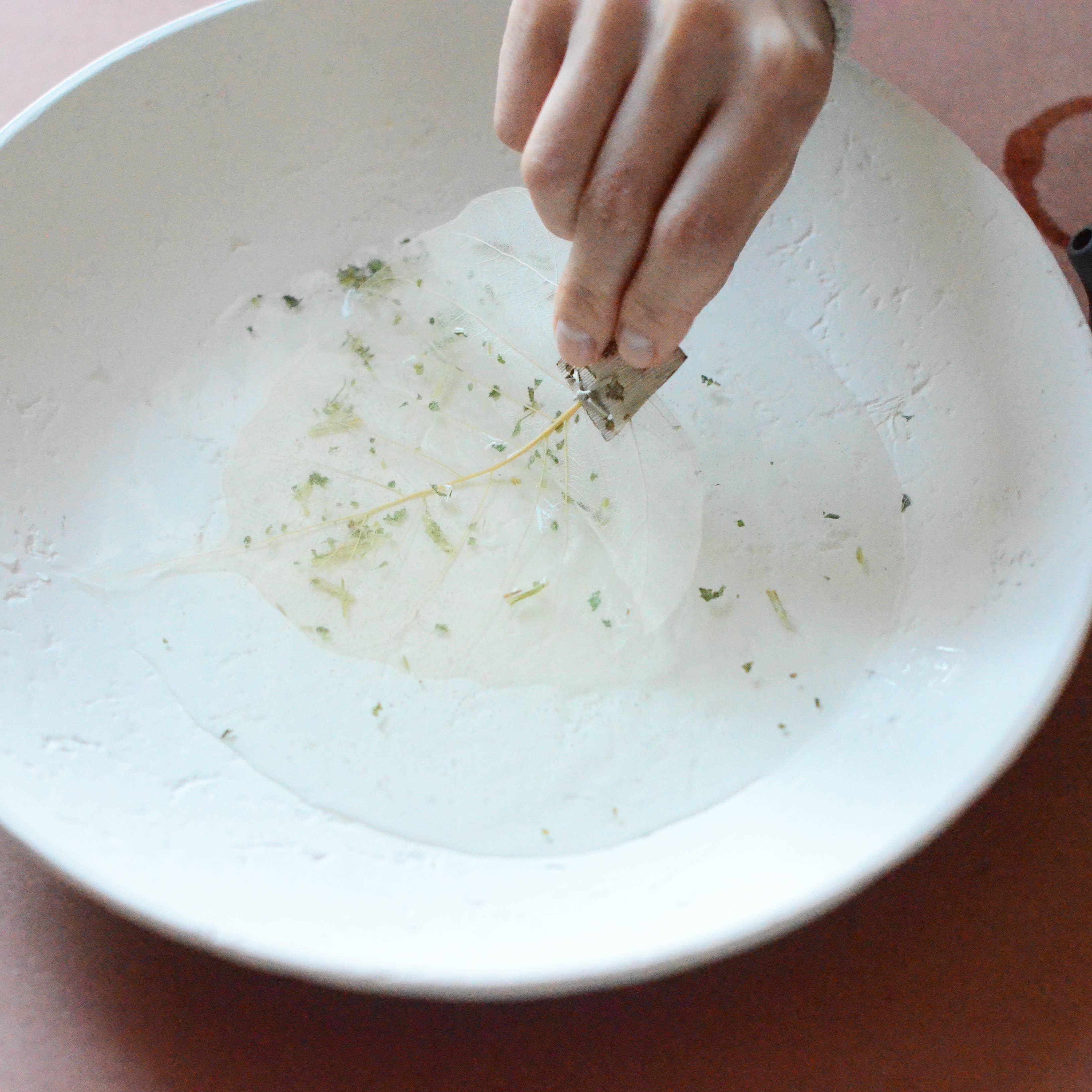 Cedar and Myrrh - Wholesale Tea Strainer/Infuser - Natural Leaf Shape Tea Strainers6