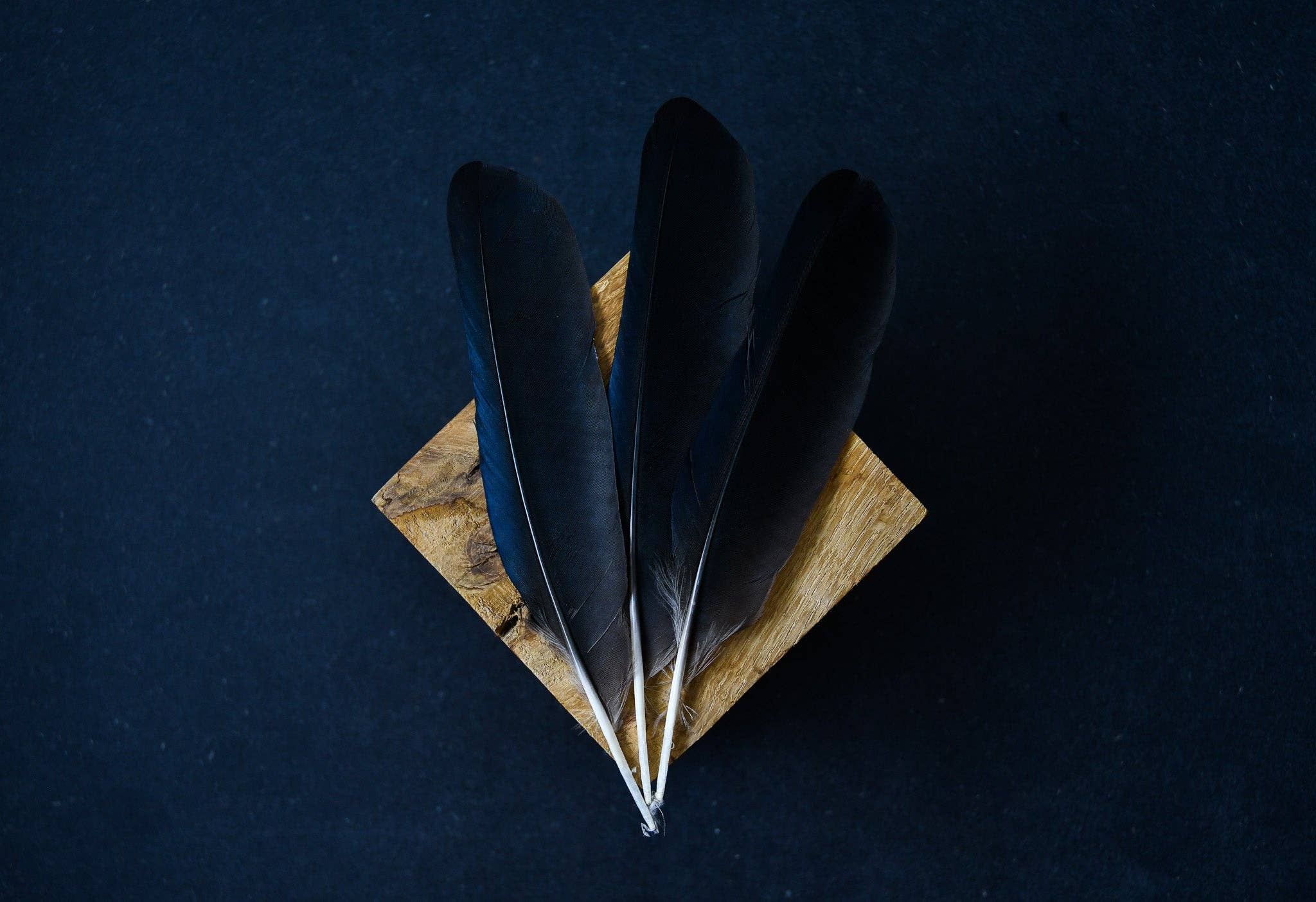 Plumes Naturelles - Wholesale Feathers - Natural crow feathers0