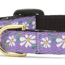 Up Country- SZ 12 Daisy Cat Collar for wholesale by Pet Palette Distribution