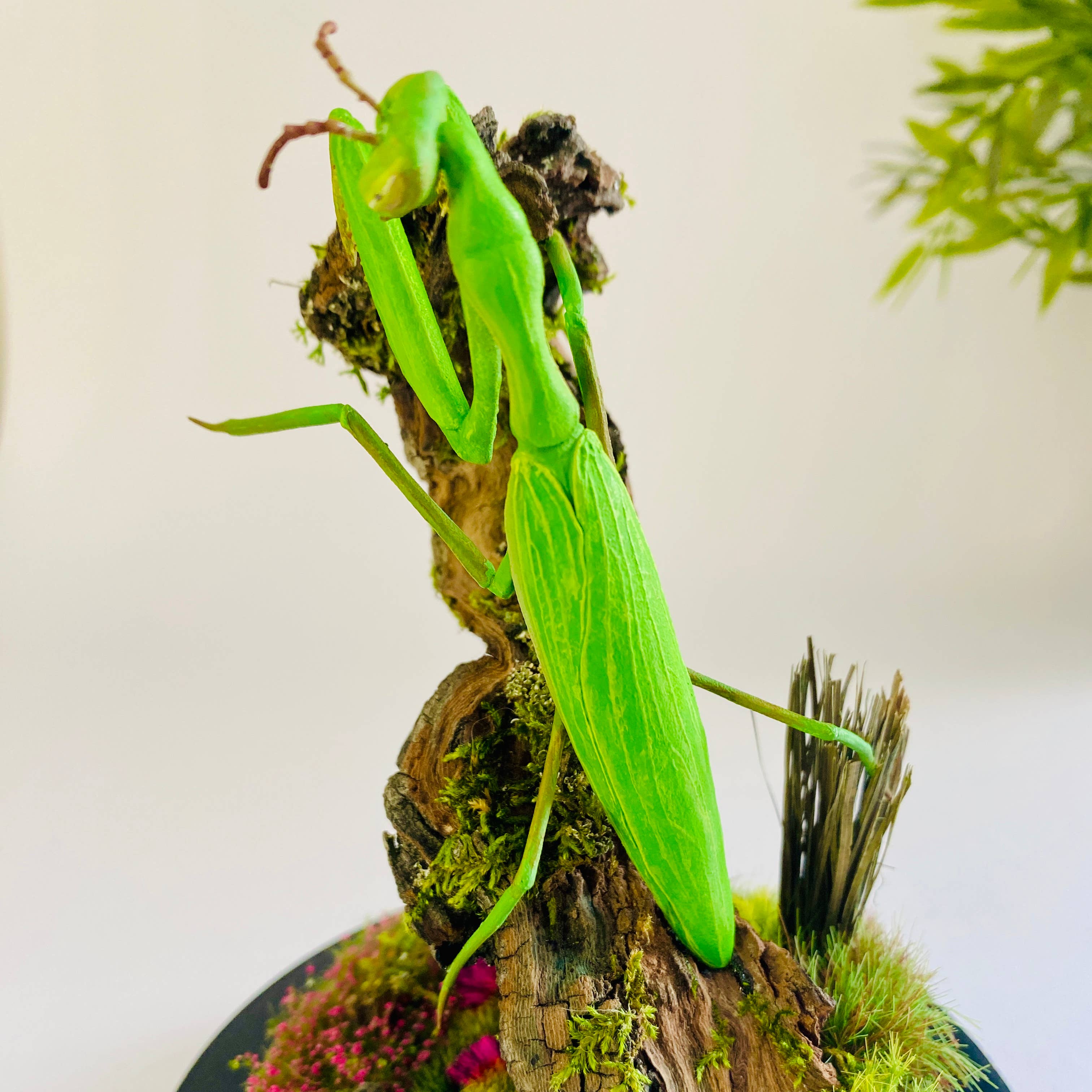 Thingx - Wholesale Decorative Tabletop Object - The praying mantis, curiosity under a glass dome3