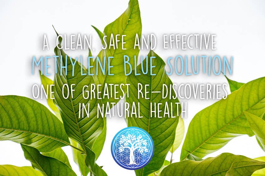 Ancient Purity - Wholesale Voedingssupplement/vitamine - Methyleenblauw - 100ml | 1% Oplossing | 99,99% Zuivere USP-kwaliteit6