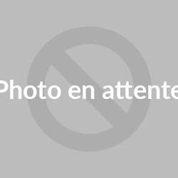 Hjerteplade af honning - Honningpasta - 5 kilo for engroshandel hos Confiserie 1844