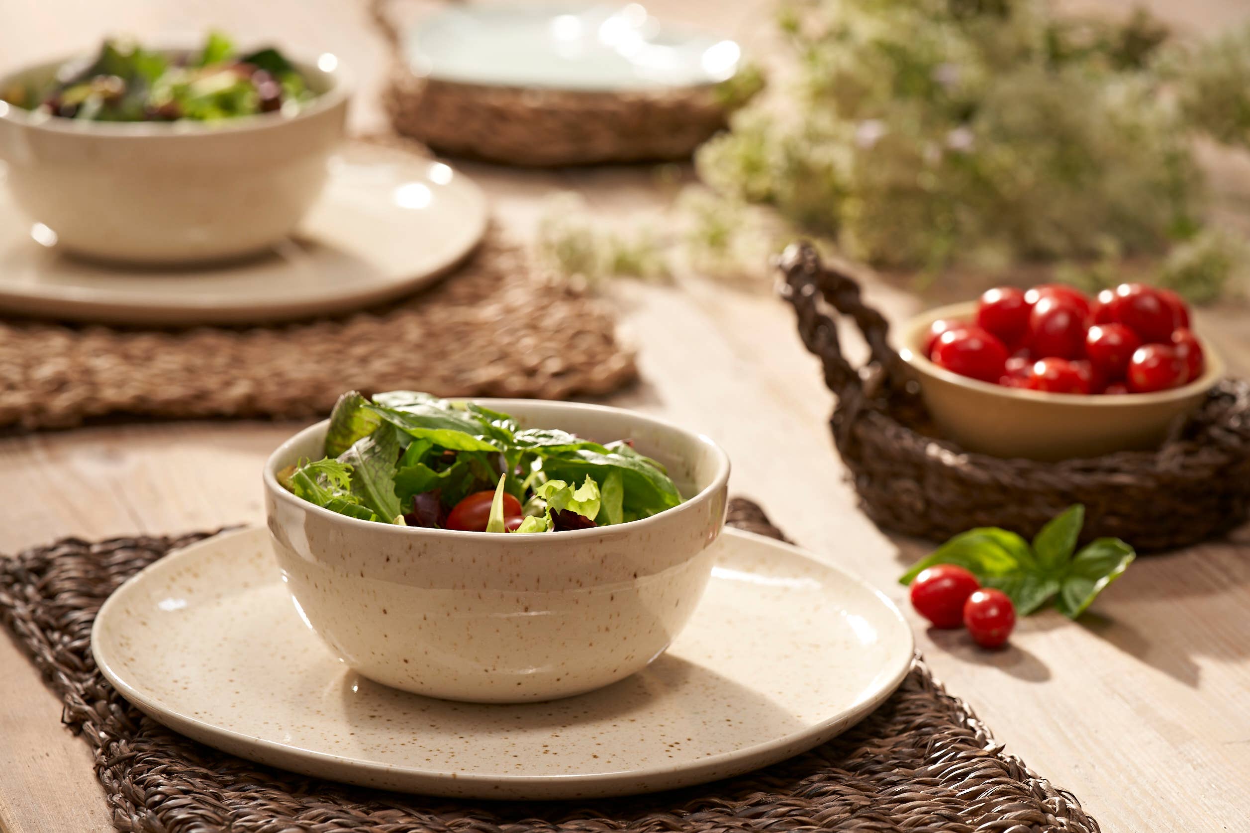 Luxe Lodge - Wholesale Decorative Plate/Dish/Bowl - Ceramic bowl4