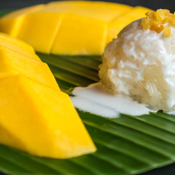 Lait de Mangue et de Coco pour la vente par Barclay Mountain Candles