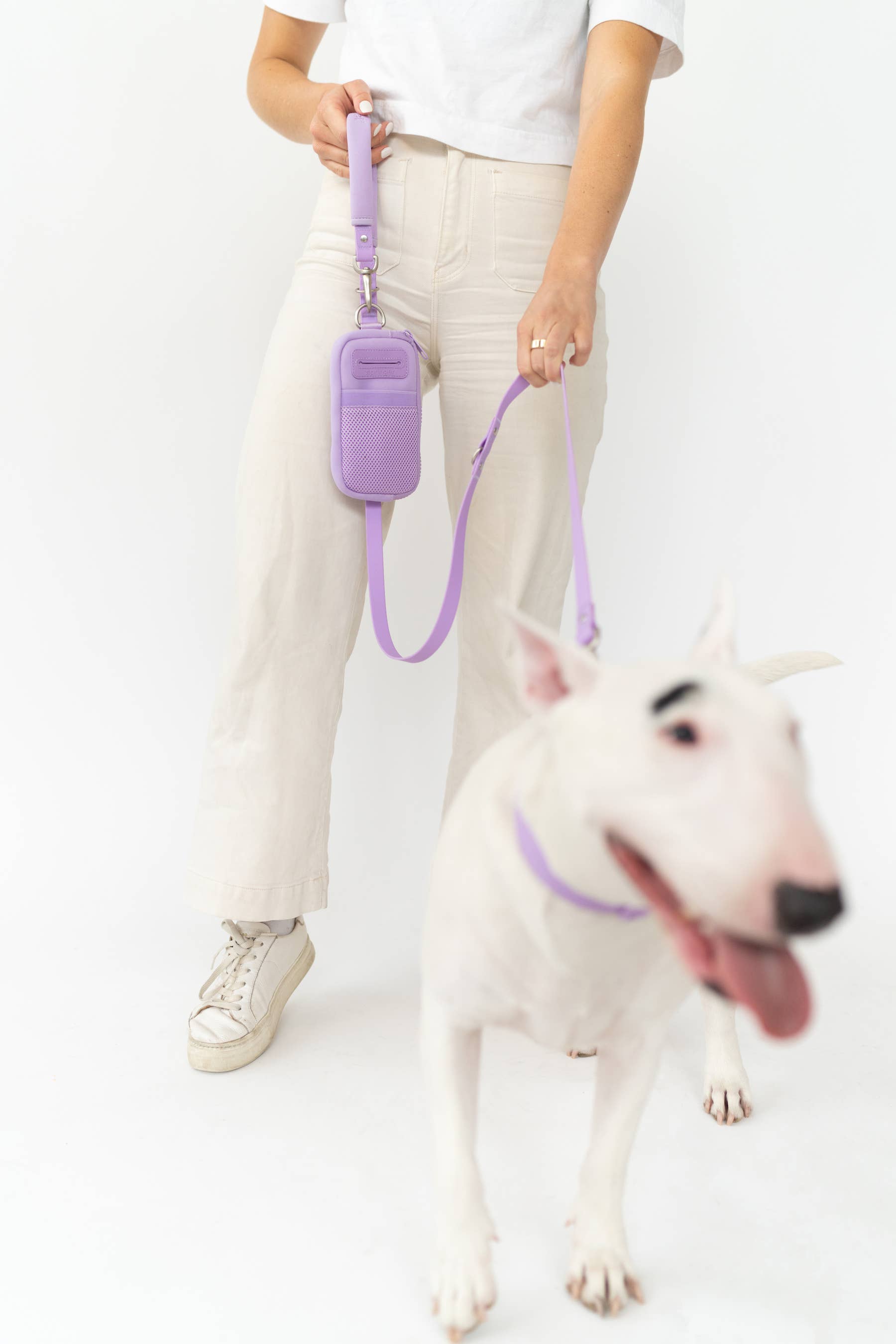 Springland Pets – Großhandel Leine – Hund – Dog Walk Bag mit Leine – 4er-Set Hunde-Gehlösung13