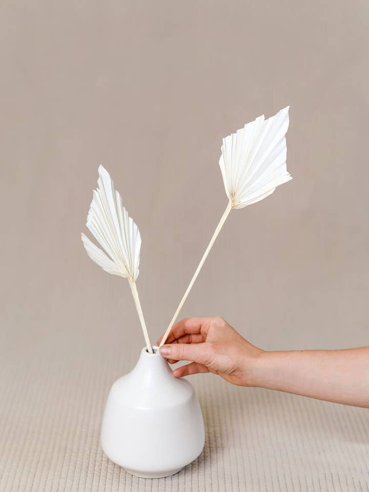 White Palm Spear - 3 pack for wholesale by You Floral