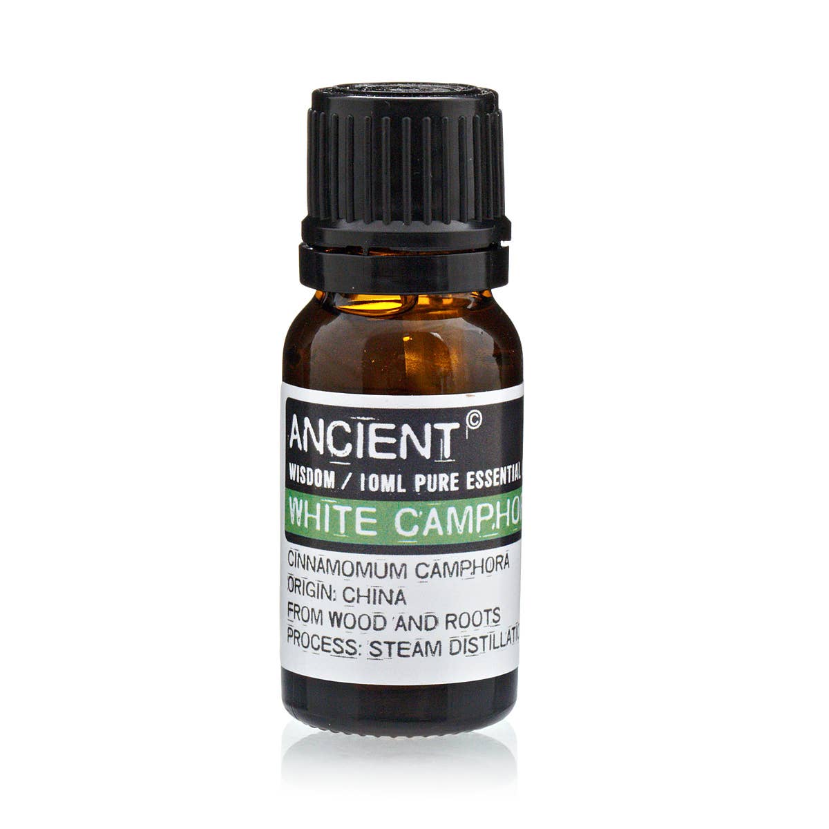 Ancient Wisdom - Wholesale Essential Oil - 10 ml White Camphor Essential Oil