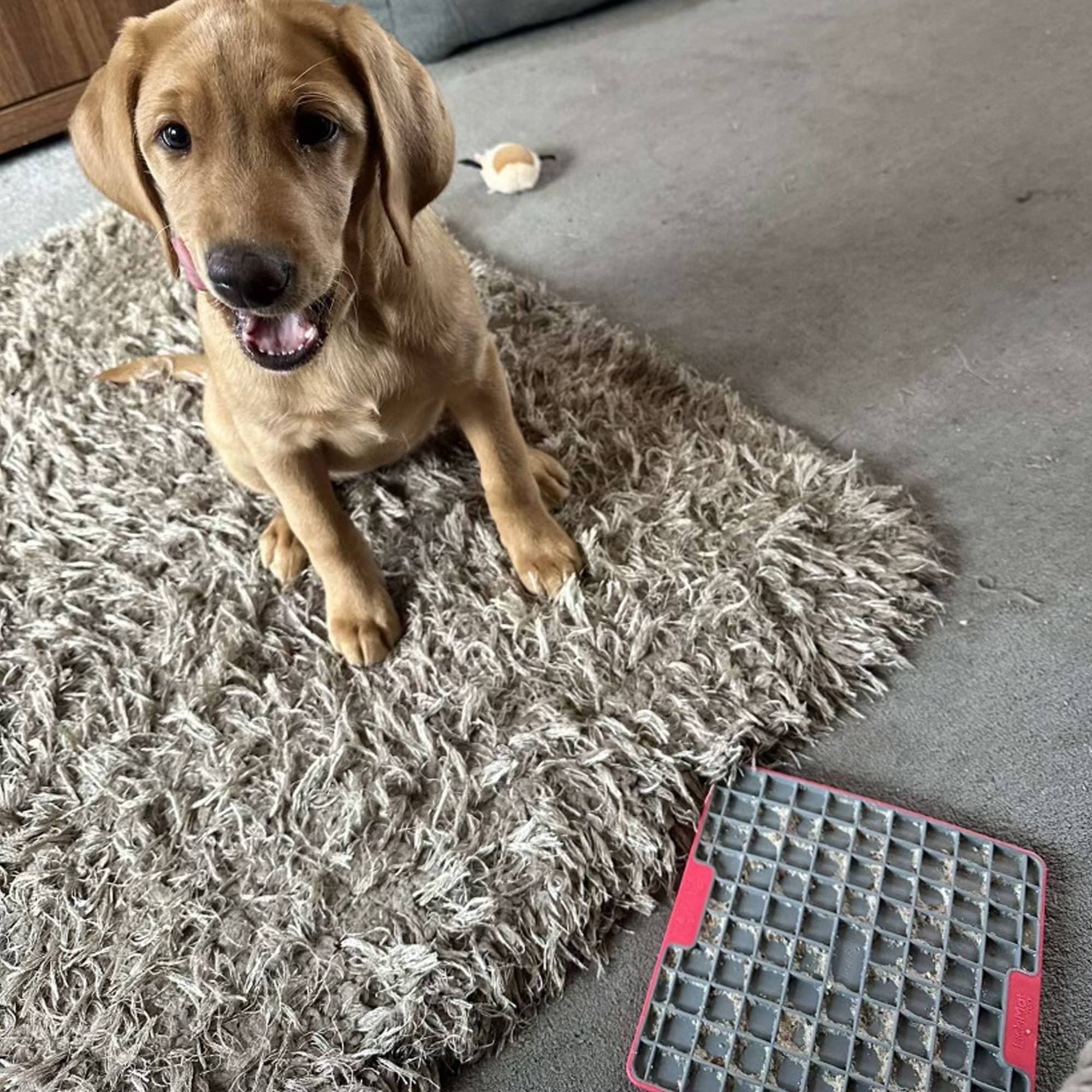 Natures Grub – wholesale Pet food – Dog – Supernature X LickiMat® Pork Lickeez Spread for Dogs 100g4