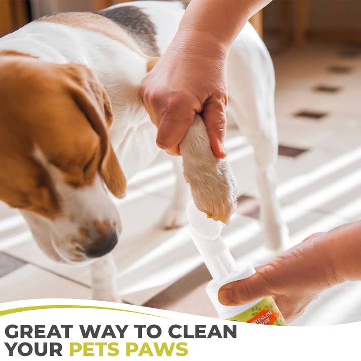 Precious Tails - Wholesale Pet Paw Protection - Precious Tails Waterless Foam Paw Cleaner with Brush