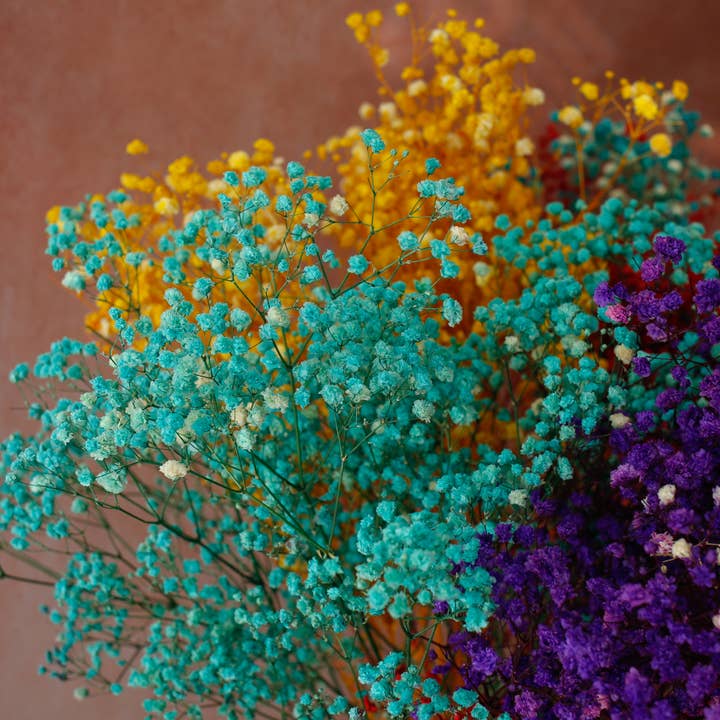 Floral Fields - Vendita all'ingrosso Fiori secchi/pressati - Fiori di Gypsophila conservati (Baby's Breath) - Mazzo arcobaleno2