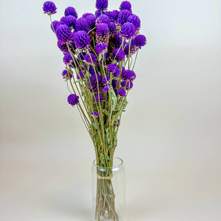 Lovejoy Farms Premium Dried Flowers - Wholesale Dried/Pressed Flowers - Purple Globe Amaranth – Naturally Dried Flowers2