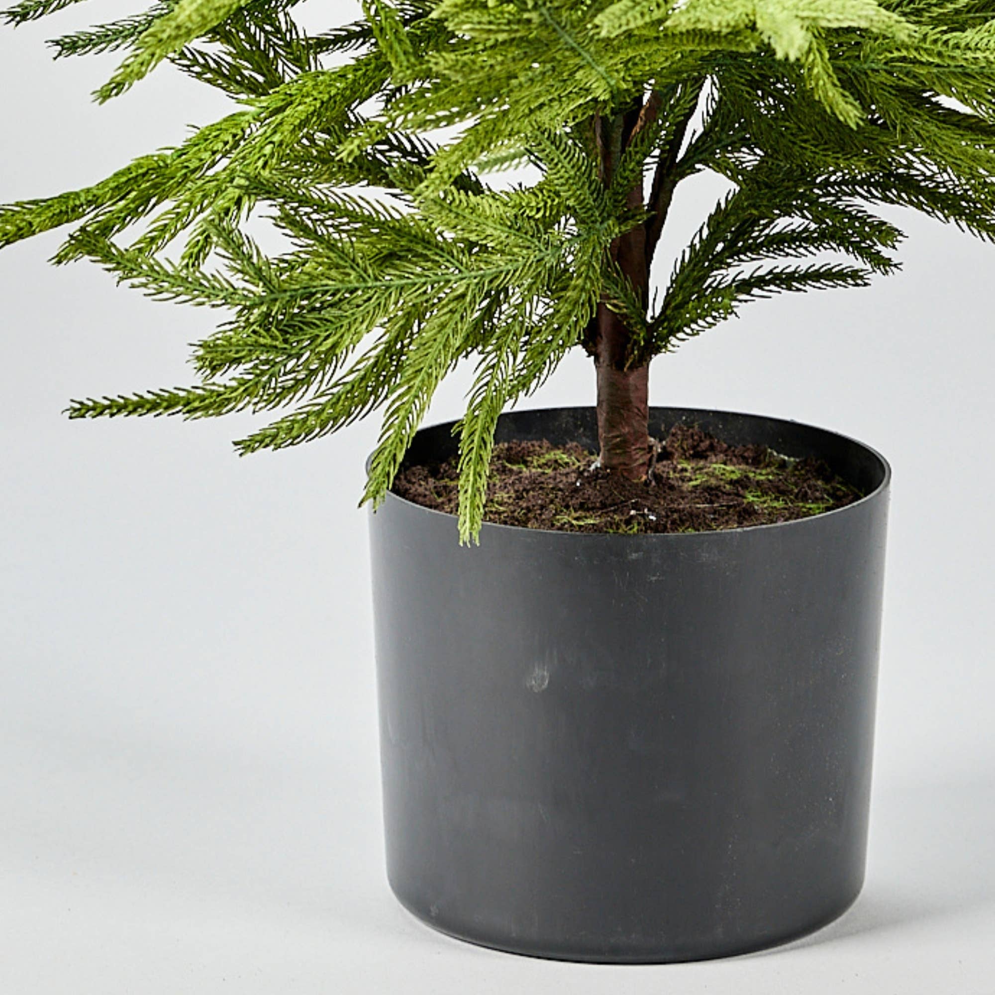 Afloral - Wholesale Artificial Plant - Afloral™ Artificial Norfolk Pine Tree - 36"2