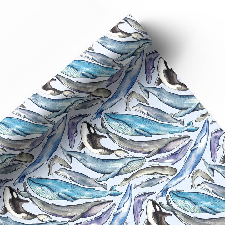 Whales of Britain wrapping paper Sheets for wholesale by Alexia Claire Ltd