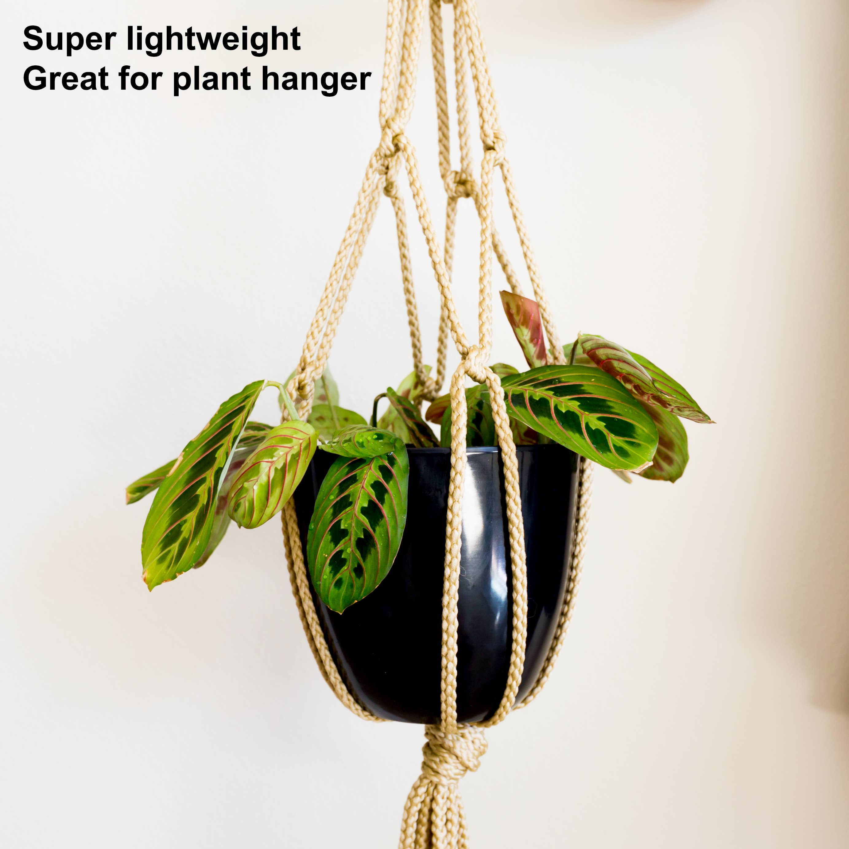 Youngever - Wholesale Plant Pot - Youngever 7 Pack 6.5 Inch Plastic Planters Flower Pots-Black2