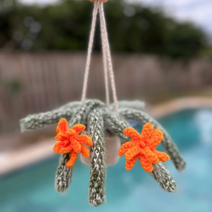 Pot de fleurs de cactus moelleux au crochet, décoration de plante d'intérieur pour la vente par Anh2 LTD