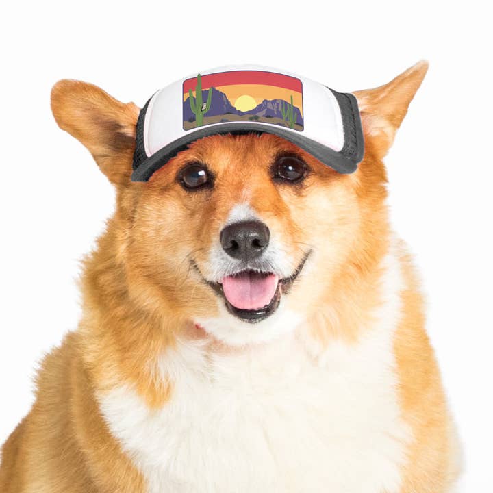 PupLid - Wholesale Pet Hat - Dog - Desert Owl Standard or Namedrop | Trucker Hat for Dogs5