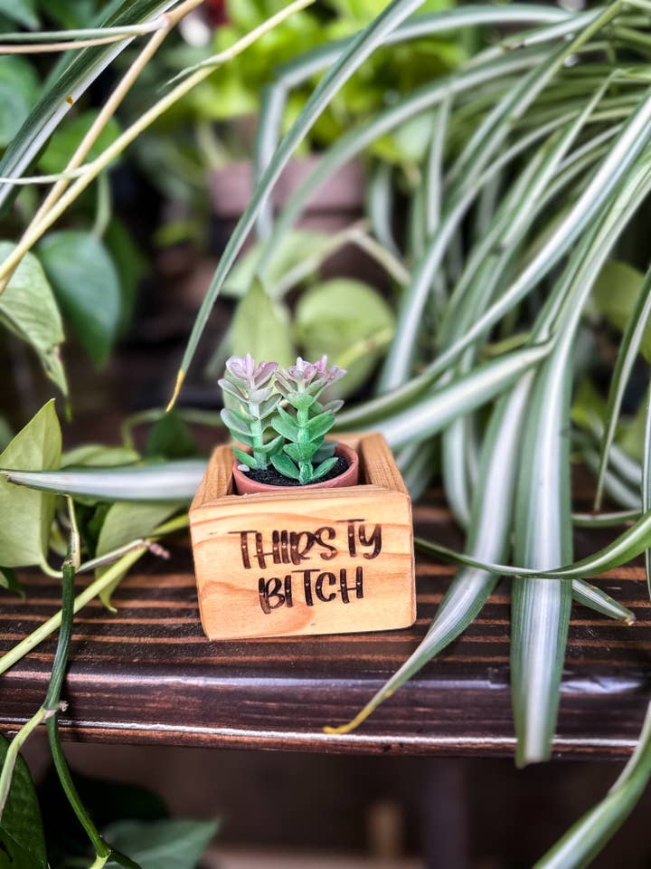 Thirsty Bitch Succulent Holder for wholesale by Dash Ten Works