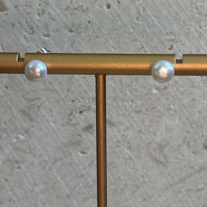 Amaryllis per la vendita all'ingrosso da parte di Little Bird Charleston, LLC