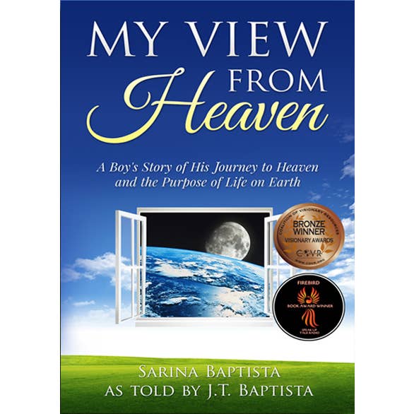 Bridge to Healing Press - Wholesale Religion Book - My View from Heaven: A Boy's Story of His Journey to Heaven