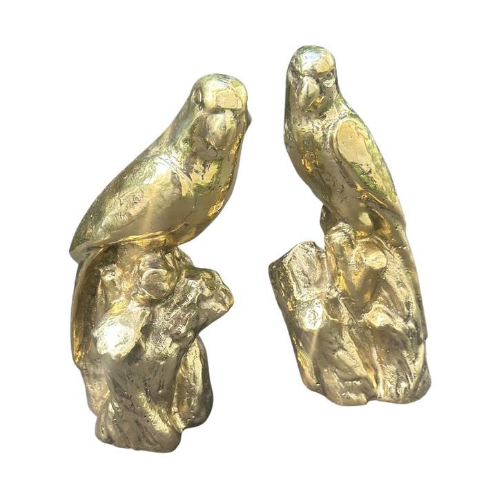 Parrot Pair for wholesale by Reinasol