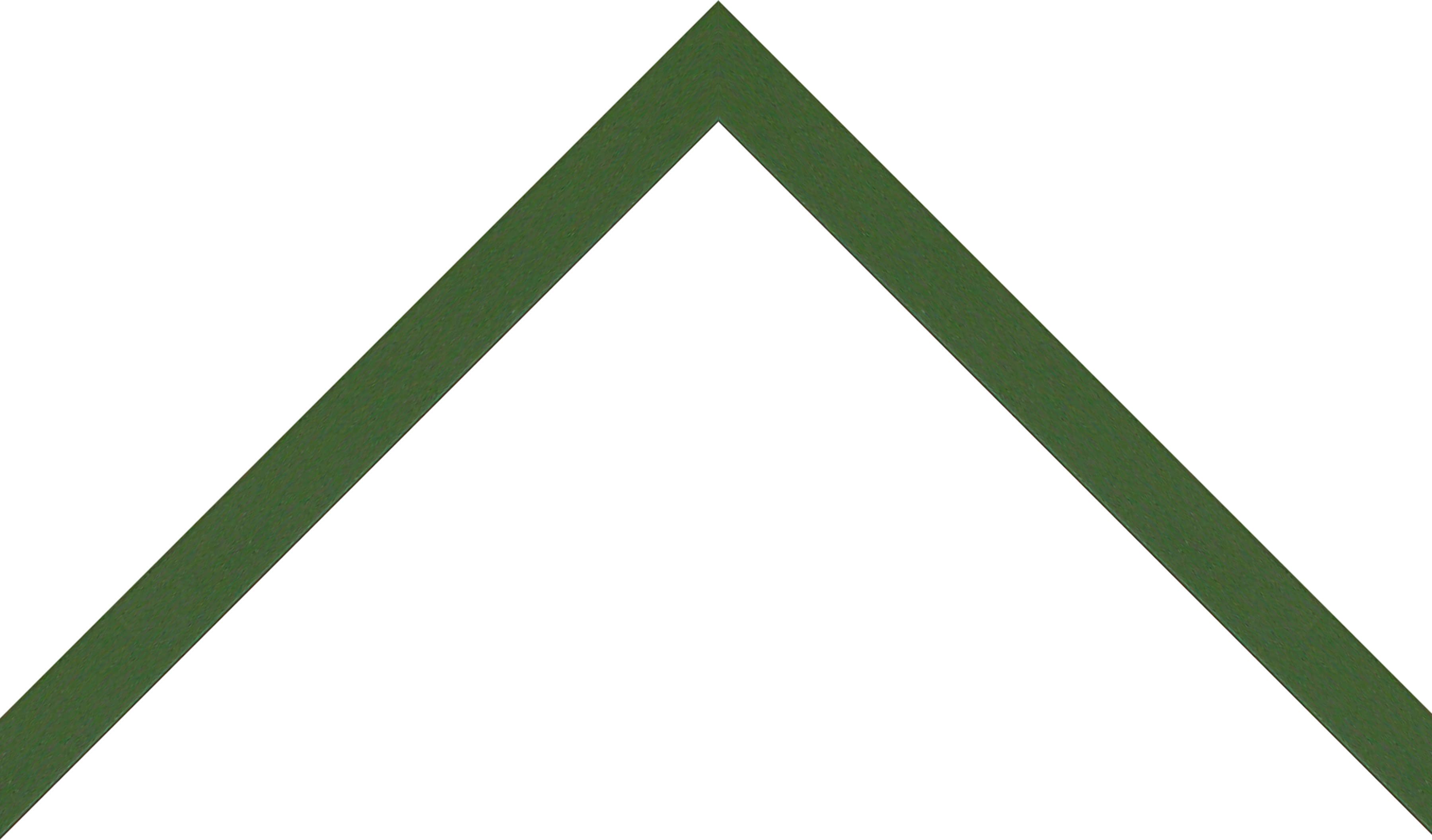 West Coast Frames LLC - Vente Cadres photos - 310150 Cadre en bois vert - Verre transparent1