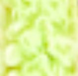 Anders Ruff Market - Wholesale Patch - Chenille Alphabet Letter Patches5